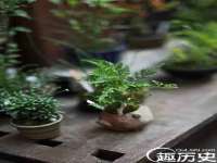 翠寒（上海）贸易有限公司