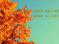 翠寒（上海）贸易有限公司