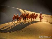 翠寒（上海）贸易有限公司