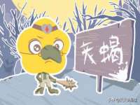 翠寒（上海）贸易有限公司
