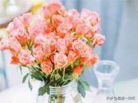 翠寒（上海）贸易有限公司