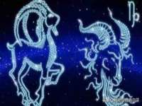翠寒（上海）贸易有限公司
