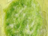 翠寒（上海）贸易有限公司