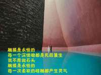 翠寒（上海）贸易有限公司