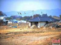 翠寒（上海）贸易有限公司