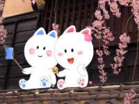 翠寒（上海）贸易有限公司