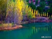 翠寒（上海）贸易有限公司