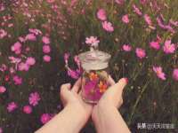 翠寒（上海）贸易有限公司
