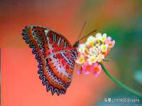 翠寒（上海）贸易有限公司