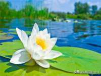 翠寒（上海）贸易有限公司
