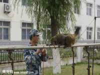 翠寒（上海）贸易有限公司