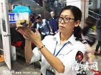 翠寒（上海）贸易有限公司