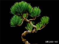 翠寒（上海）贸易有限公司