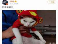 翠寒（上海）贸易有限公司