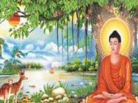 翠寒（上海）贸易有限公司