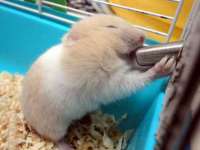 翠寒（上海）贸易有限公司